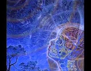 The Divine Matrix