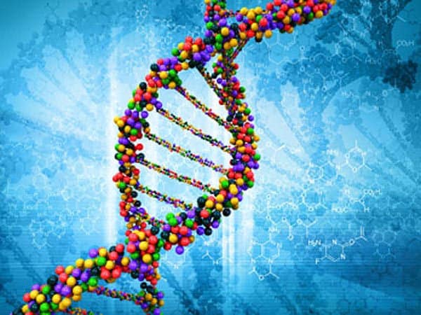 DNA structure