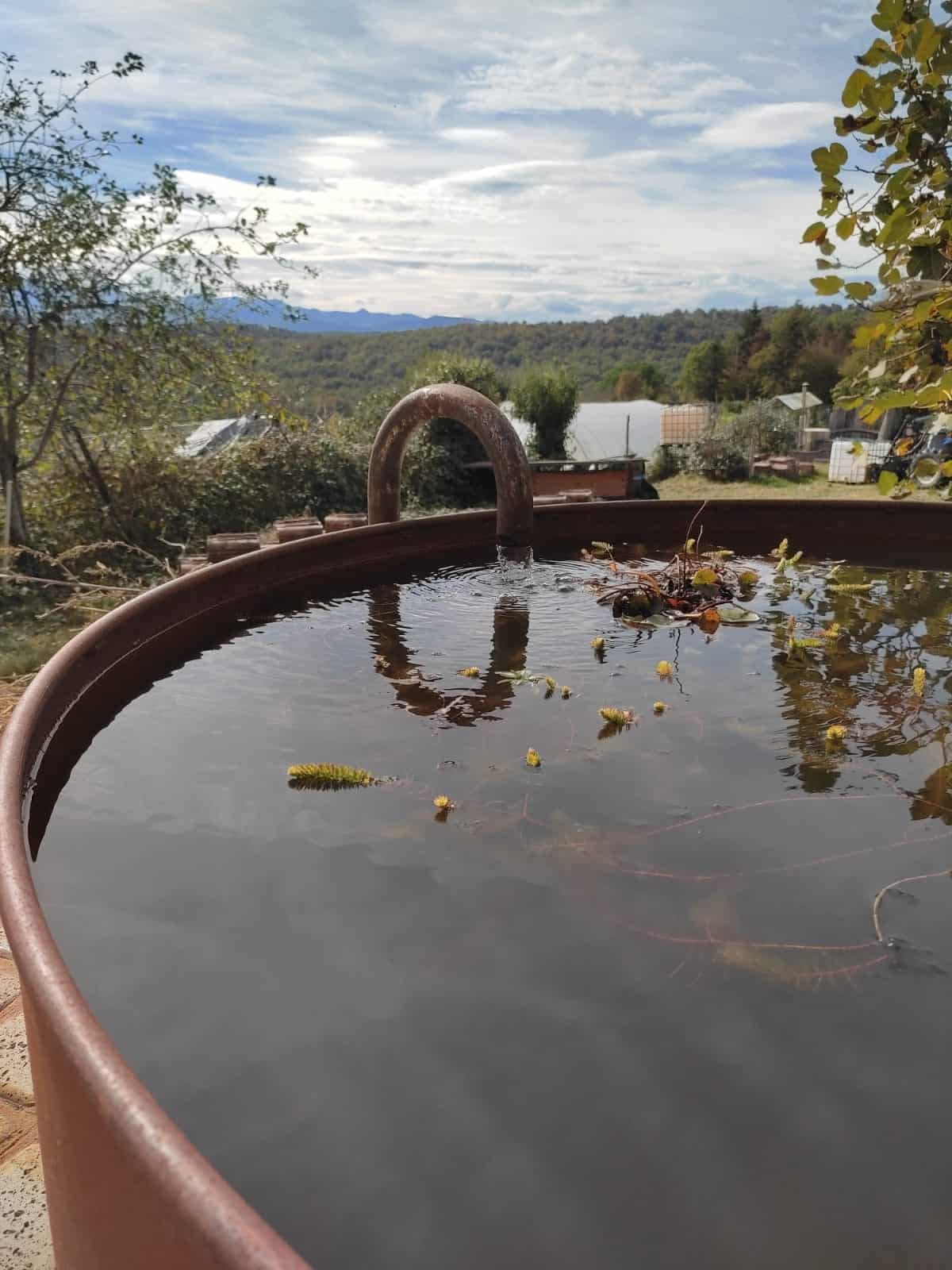 Bassin-entree-dome-Yoga-Ariege